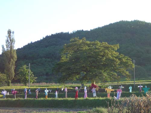 벼논 한복판에서 새를 좇아야 할 허수아비들이 멀쩡한 옷을 입고 전시되어 있다. 